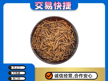 衡水回收散虫草